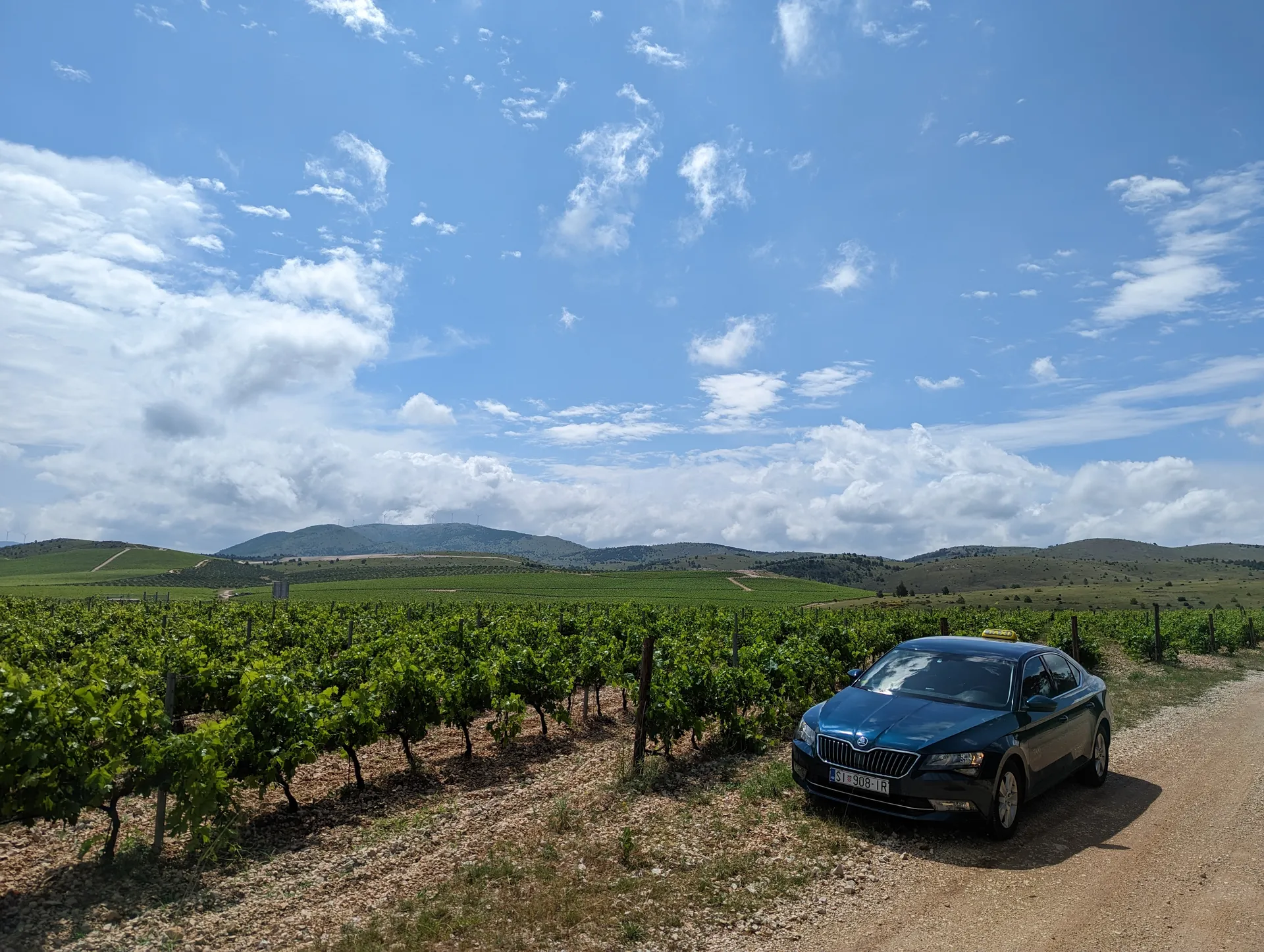 TAXI Antonio's Škoda Superb beside the vineyards on the way to Testament Winery near Šibenik